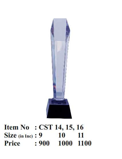 Clear crystal trophy award; perfect for corporate recognition.