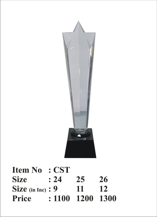 Clear crystal trophy with a star design; perfect for awards ceremonies.