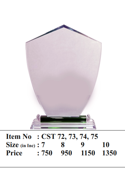 Elegant crystal trophy design; perfect for corporate awards.