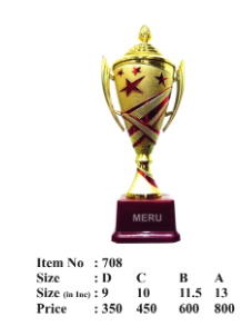 Elegant red and gold fiber trophy with star accents.