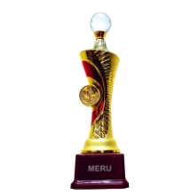 Gold Fiber Trophy with Crystal Globe - Award Recognition