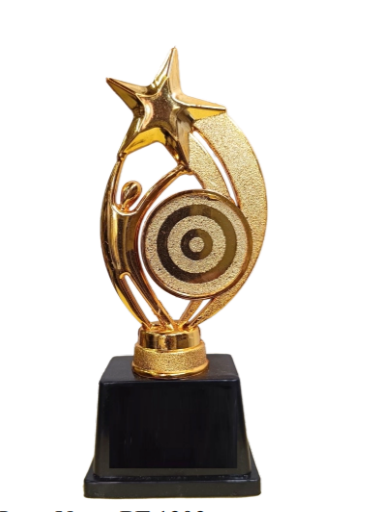 Gold and black star achievement award trophy.