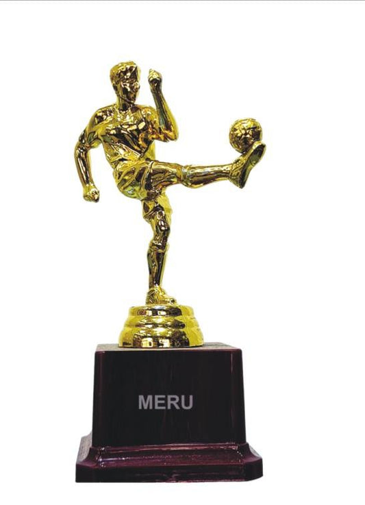 A striking gold soccer trophy; perfect for recognizing athletic achievement. Explore fiber trophies; resin trophies; and custom trophy options today!