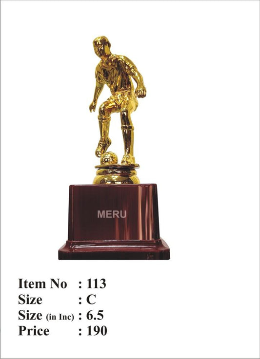 Gold soccer trophy award; perfect for sports achievements and fiber trophies.
