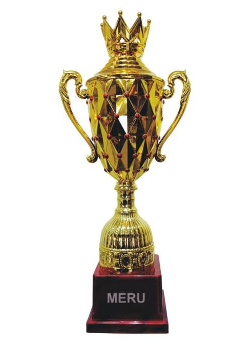 Gold Fibre Trophy Cup