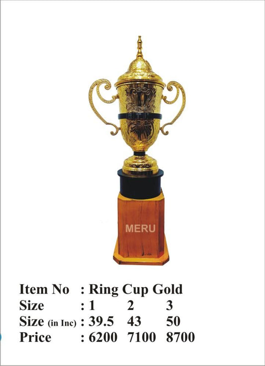 Golden Cup Trophy - Sports Achievement