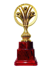 Gold and maroon fiber trophy symbolizing achievement and recognition.