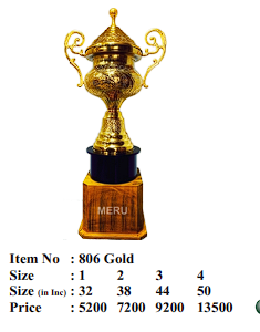 Gold metal cup trophy; ideal for sports awards and recognition ceremonies.