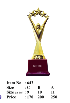 Gold Fiber Trophy with Star Design