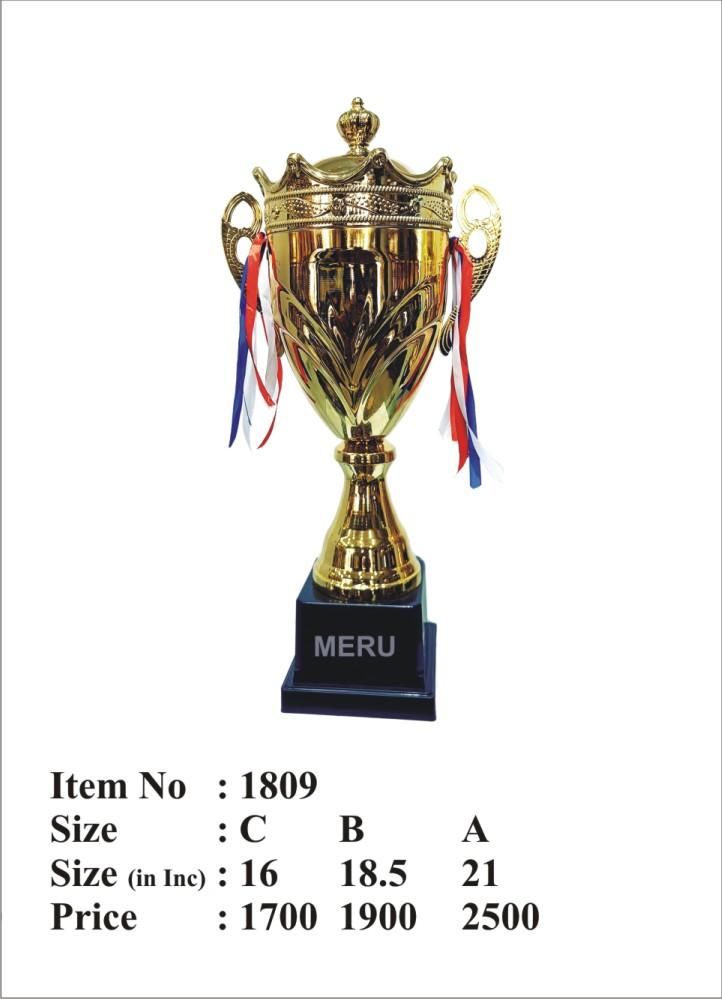 Gold metal trophy cup; perfect for sports awards and corporate recognition.