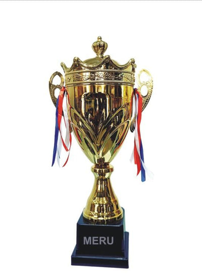 Gold metal trophy cup; perfect for sports awards and corporate recognition.