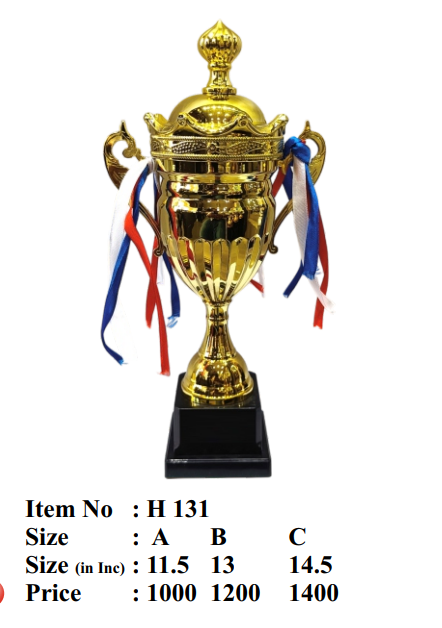 Metal Trophy Award Cup H131 - Sports Awards & Custom Trophies