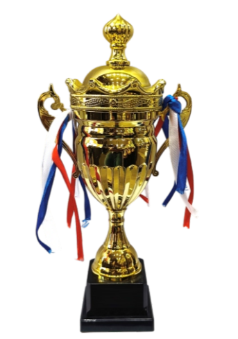 Gold Metal Trophy Cup