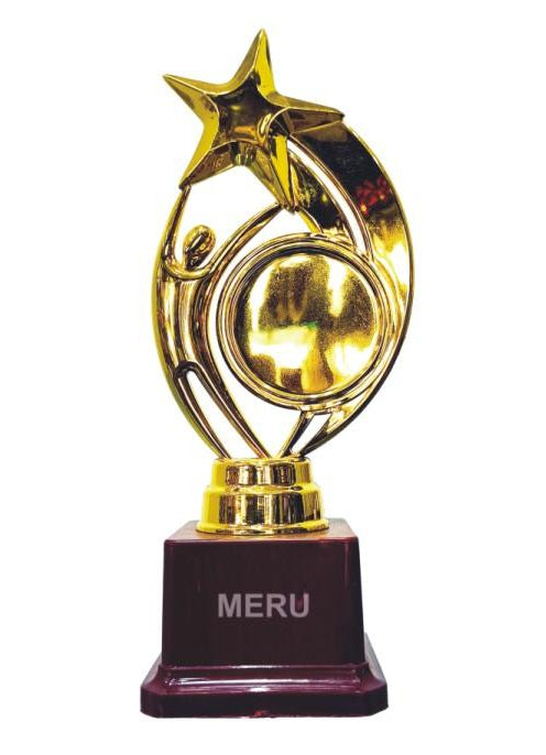 Gold Fiber Trophy 320 showcasing a stylized star design; ideal for awards and recognition.