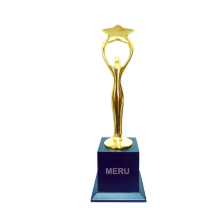 Gold star achievement corporate trophy.