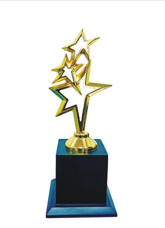 Gold Star Achievement Trophy - Corporate Recognition Award