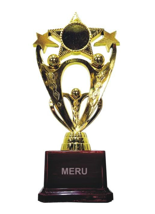 Gold Star Achievement Trophy - Detail Shot