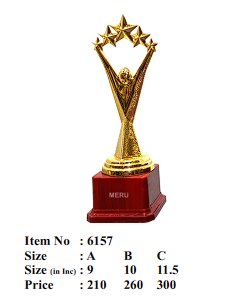 Gold Star Trophy - Achievement Award (Fiber Trophy)