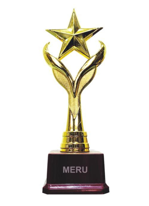 Gold Star Award Trophy 1210 - A beautiful fiber trophy design for awards.