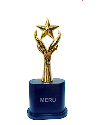 Gold Star Award Trophy - Ideal for corporate recognition awards and employee appreciation.
