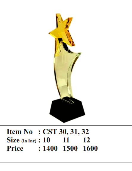 Gold star crystal award trophy