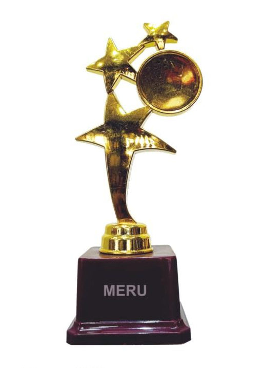 Gold Star Fiber Trophy - A symbol of achievement and recognition.