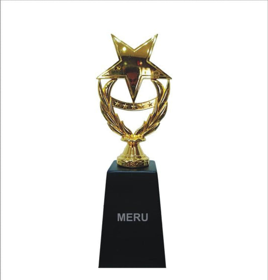 Gold star trophy; perfect for corporate awards and trophies and employee recognition.