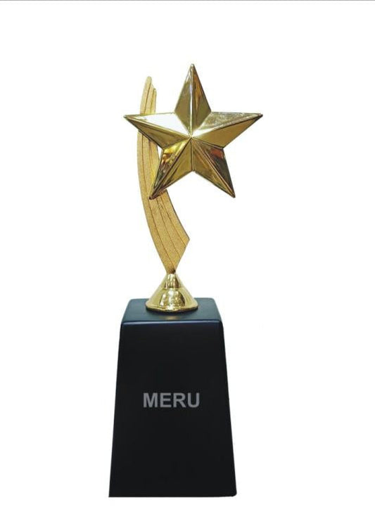 Striking gold star trophy; ideal for corporate trophy recognition and Awards for employee.