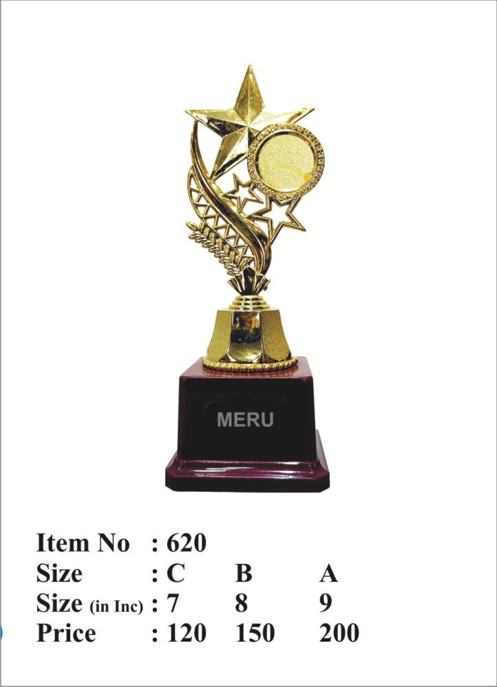 Gold Star Trophy - Achievement Award - Fiber Trophy