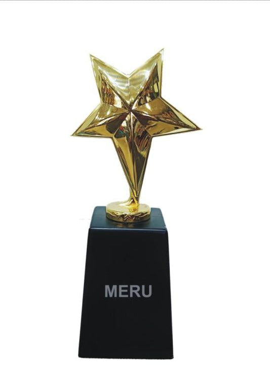 Gold star trophy; perfect for corporate recognition awards and employee recognition.