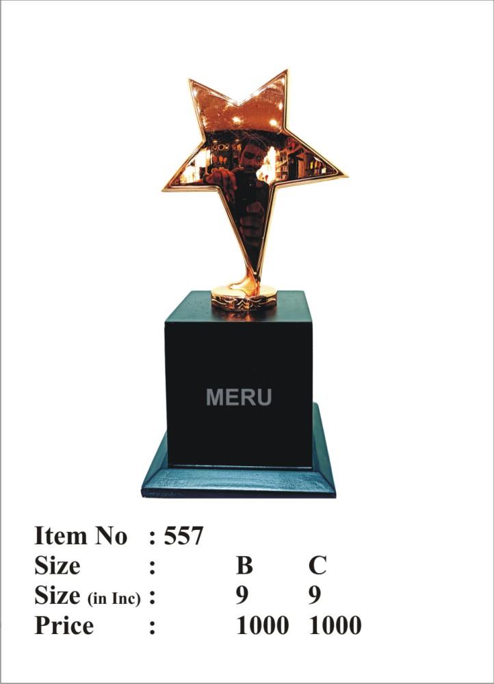 Gold star trophy symbolizing achievement and <b>recognition awards</b>.