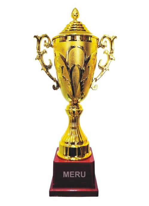 Gold Trophy Cup - Award for Excellence