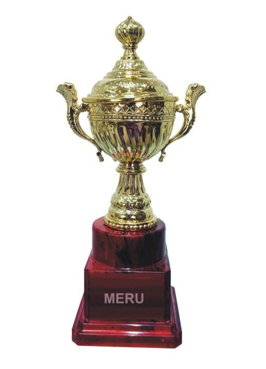Gold trophy cup award; ideal for recognizing achievements and available as fiber trophies.