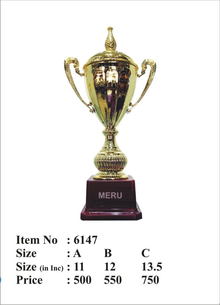 Gold trophy cup; ideal for sports awards and corporate recognition. A beautiful fiber trophy.