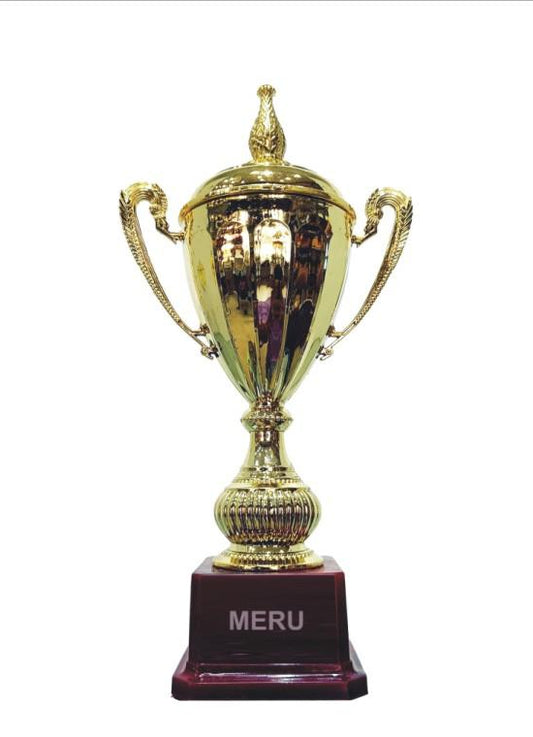 Gold trophy cup; ideal for sports awards and corporate recognition. A beautiful fiber trophy.
