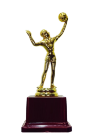 Gold volleyball trophy; a symbol of athletic achievement and fiber trophies.