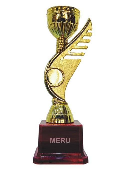 Gold Winged Trophy - Unique Award Design