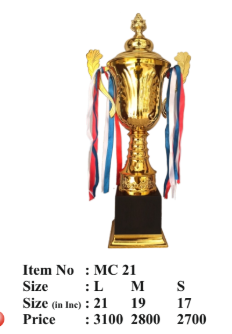 Elegant gold metal trophy symbolizing achievement and recognition. Ideal for sports awards and corporate events.