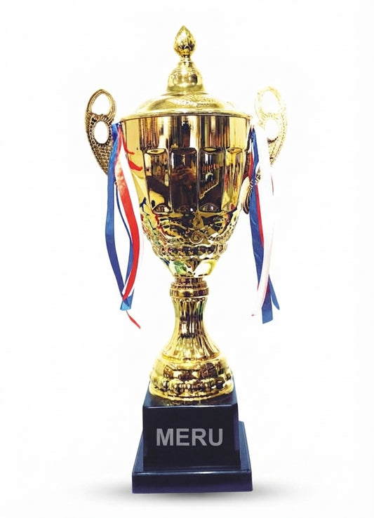 Metal Cup Trophy Awards and RecognitionX3 - Meru Trophy