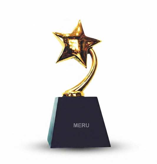 Premium Star Trophy Corporate and Academic Awards gold star award trophy jh91 - Meru Trophy