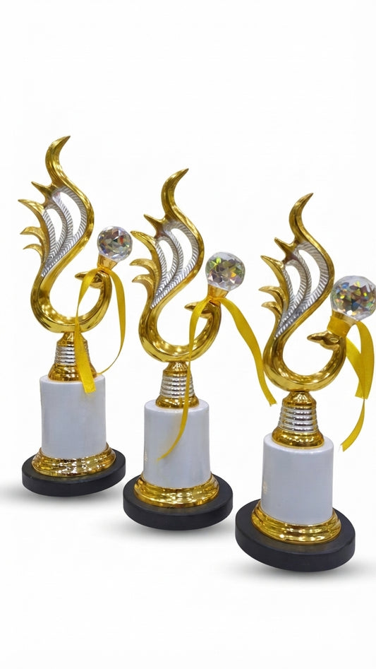 Premium Flame Crystal Achievement Trophy - Recognition Awards 2589 - Meru Trophy