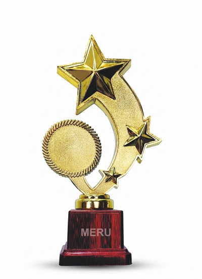Gold Star Trophy | Custom Trophies  2375 - Meru Trophy