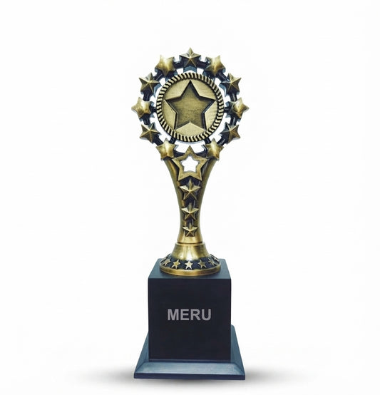 Gold Star Trophy Corporate Awards 627 - Meru Trophy