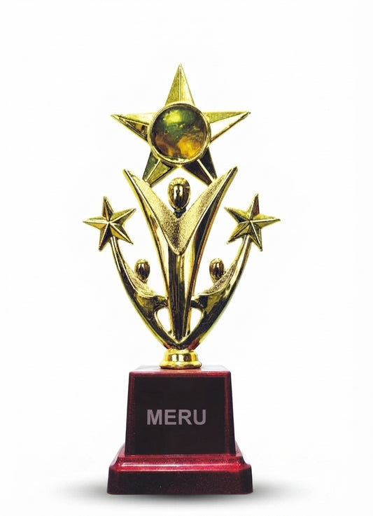 Gold Star Achievement Trophy 2373 - Meru Trophy