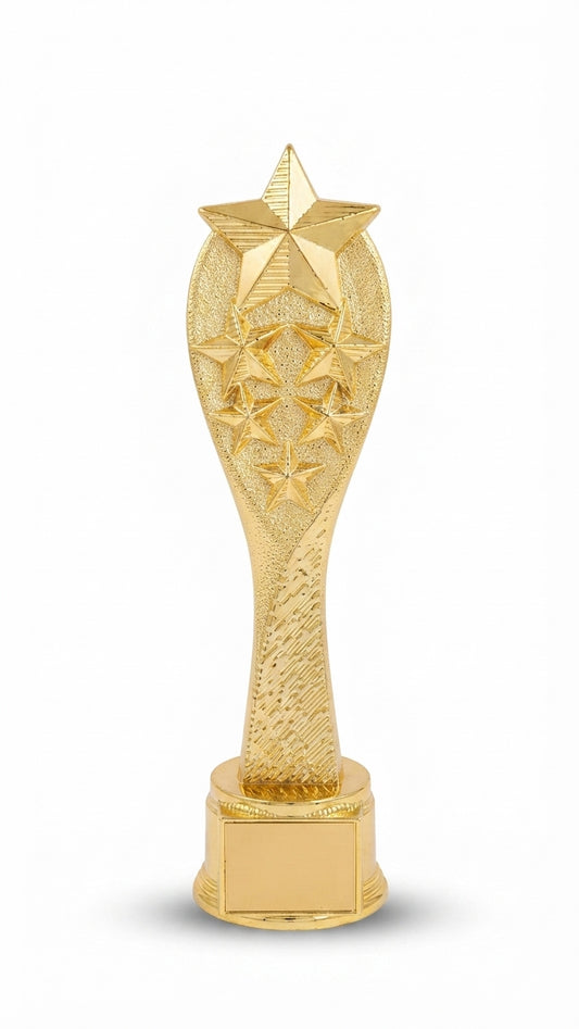 Gold Star Trophy Award - Symbol of Excellence and Recognition AM 4 - Meru Trophy