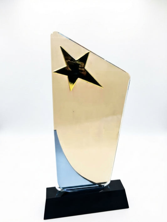 Crystal Star Trophy - Recognition Awards CST 1 - Custom Awards & Engraving - Meru Trophy