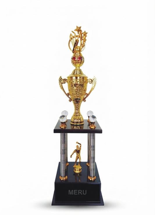 Gold Sports Cup Trophy 4782 - Meru Trophy