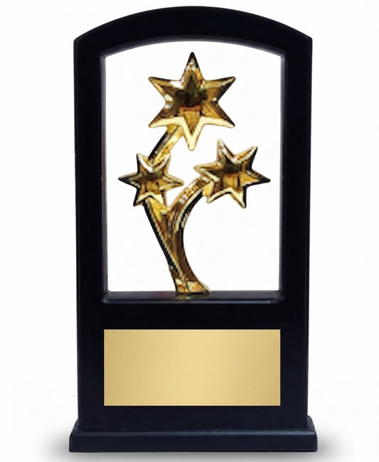 Black and Gold Star Acrylic Trophy Awards RM 21 - Recognition Awards - Meru Trophy