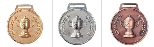 IPL Cup Replica Medals Cricket Trophies IPL-Cup-1