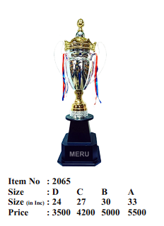 Gold and silver metal award trophy with golden crown.